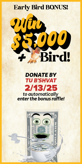 Early Bird Bonus Raffle! $5000 + a Bird - enter before February 13th!