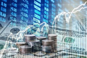 Investment Portfolio